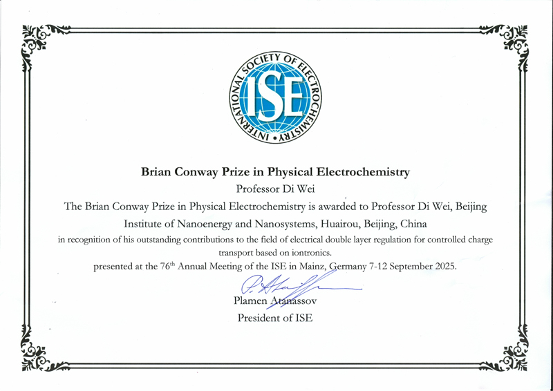 ISE 2024 Brian Conway Prize